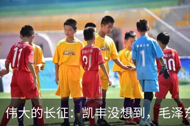 伟大的长征：凯丰没想到，毛泽东在苟坝会上被撤职后居然做了这事
