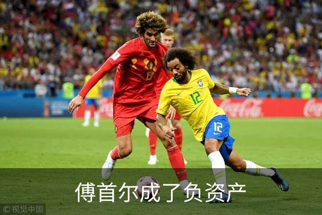 傅首尔成了负资产
