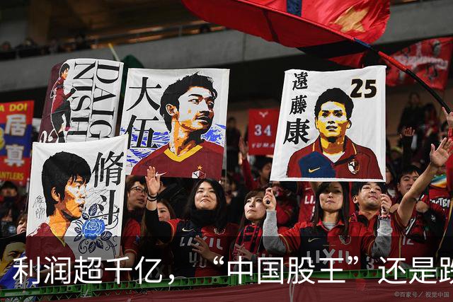 利润超千亿，“中国股王”还是跌疼了股民