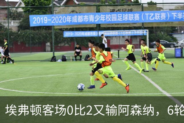 埃弗顿客场0比2又输阿森纳，6轮不败后连败，老板卖队雪上加霜