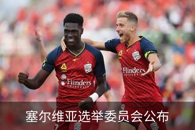 塞尔维亚选举委员会公布