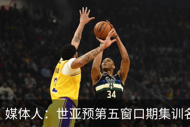 媒体人：世亚预第五窗口期集训名单已定，祝福他们
