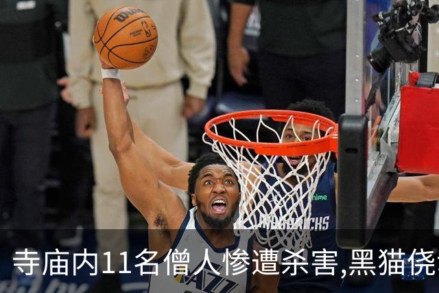 寺庙内11名僧人惨遭杀害,黑猫侥幸存活,警方赶到后它叼来一把钥匙
