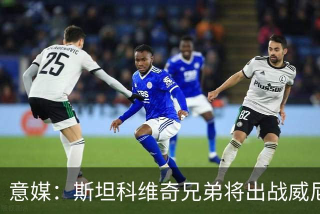 意媒：斯坦科维奇兄弟将出战威尼斯对国米比赛，二人首次对阵