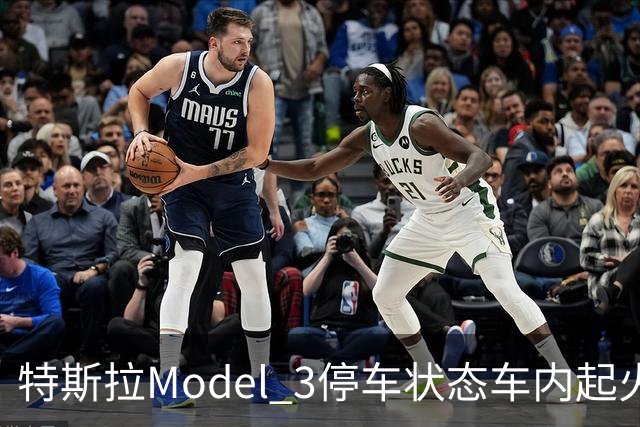 特斯拉Model 3停车状态车内起火 三星手机成怀疑对象
