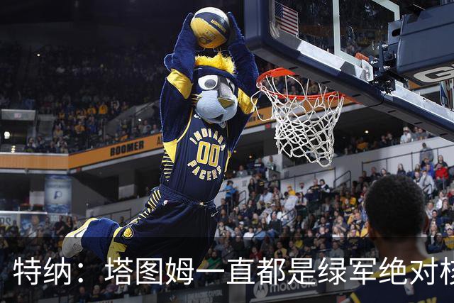 特纳：塔图姆一直都是绿军绝对核心 双探花老大之争不符现实