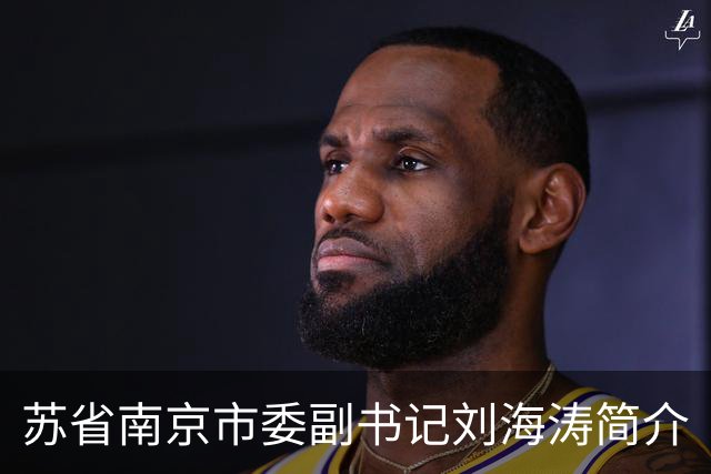 苏省南京市委副书记刘海涛简介