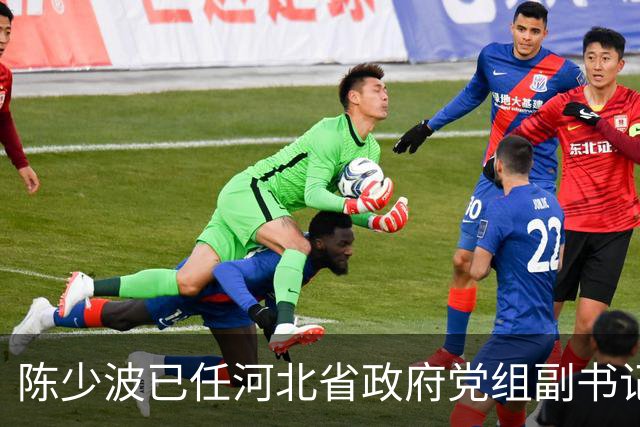 陈少波已任河北省政府党组副书记