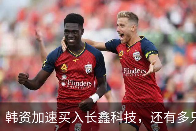 韩资加速买入长鑫科技，还有多只半导体龙头也获加仓